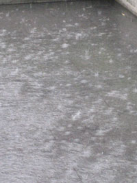 2008_07_25_regenzeit_01