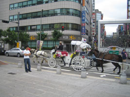 2008_07_26_jongno_06