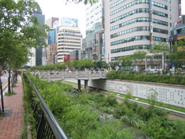 2008_07_26_jongno_07