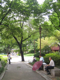 2008_07_26_tapgol_park_05