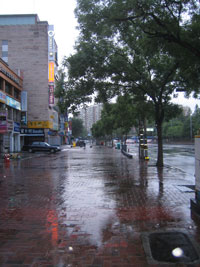 apgujeong080621_02