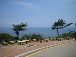 busan_06