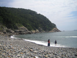 busan_08