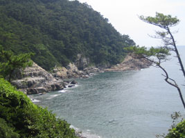 busan_11