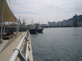 busan_115