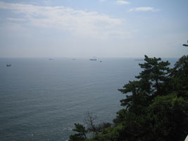 busan_19