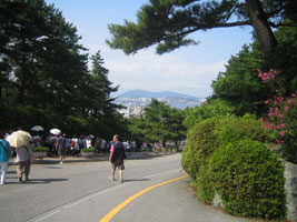 busan_20