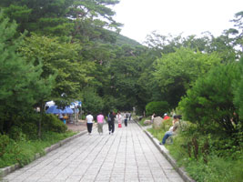 busan_48