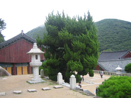 busan_65