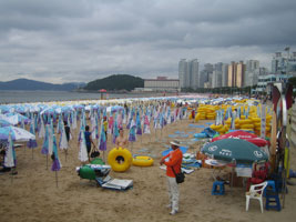 busan_77