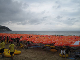 busan_80