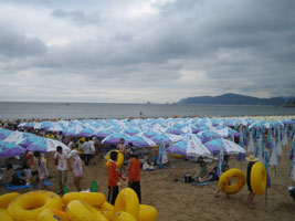 busan_82