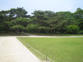 changgyeonggung_15