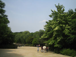 changgyeonggung_19