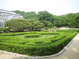 changgyeonggung_25