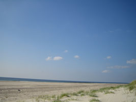 dk_hh_06