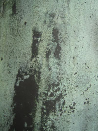 dk_hh_42