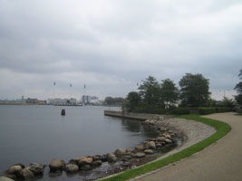 dk_hh_54