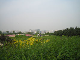 hangang_park_18