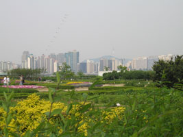 hangang_park_19