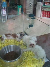 incheon_10