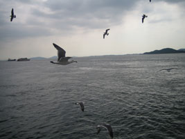 incheon_65