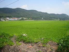 inseln_11