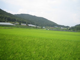 inseln_27