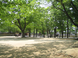 jeonju_28