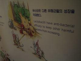 kimchi_museum_17