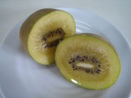 kiwi_gold_02