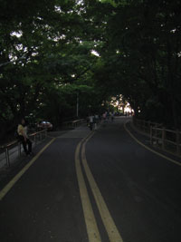 namsan_00