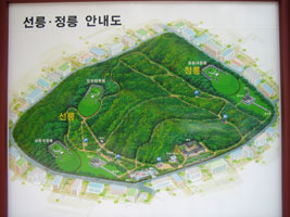 solleung_01