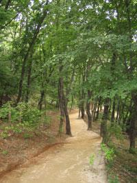 solleung_18