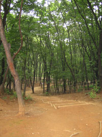solleung_37