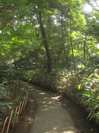 tokyo_148
