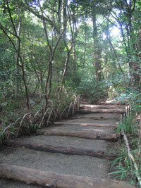 tokyo_150