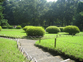 tokyo_151