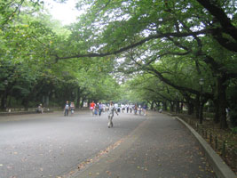 tokyo_161