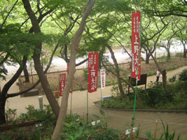 tokyo_162