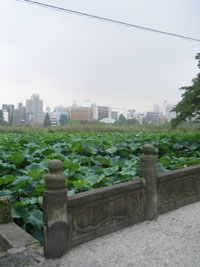 tokyo_176