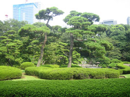 tokyo_200
