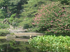 tokyo_203