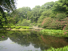 tokyo_204