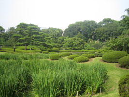 tokyo_205