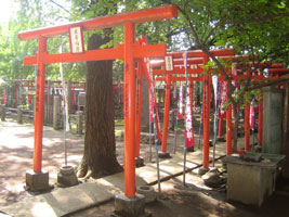 tokyo_317