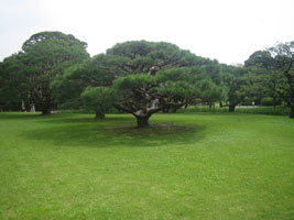 tokyo_55